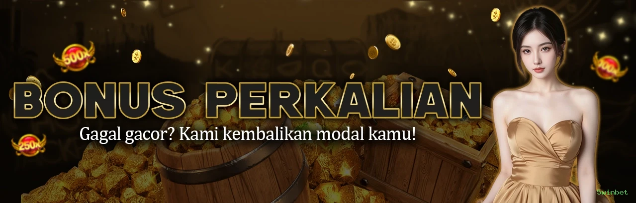 Slots no app 5winbet mobile